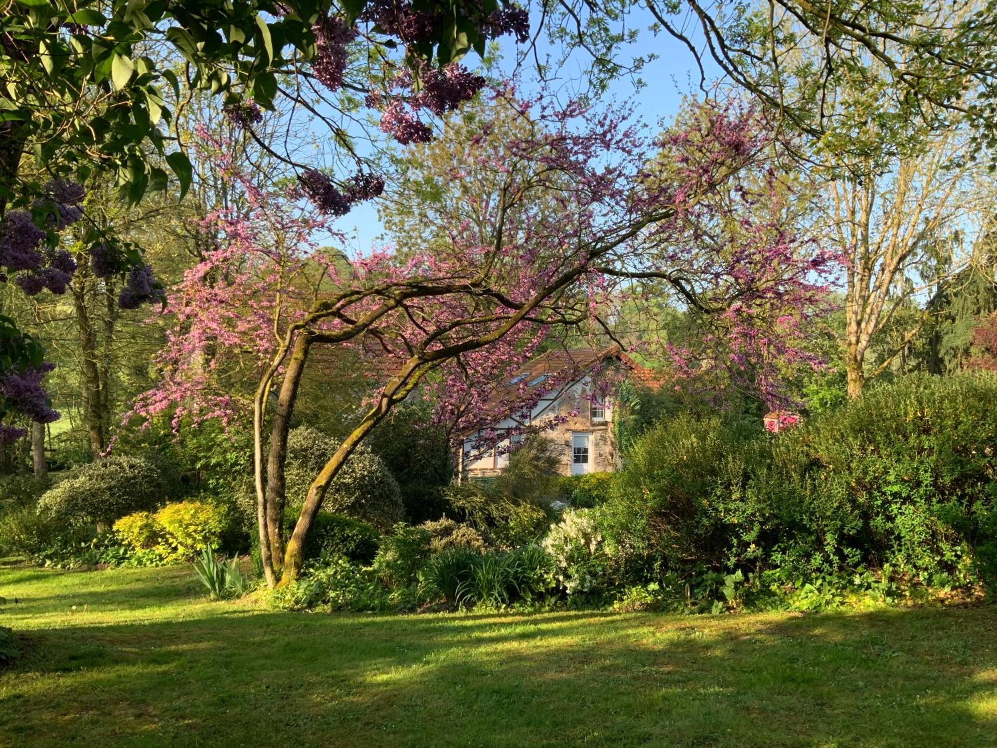 Le Moulin De La Castellerie Bed & Breakfast Moon-sur-Elle Dış mekan fotoğraf